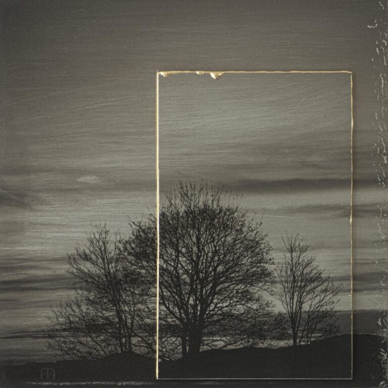 The Invitation III - Nicola Hackl-Haslinger Nicola Hackl-Haslinger, Nicola Hackl-Haslinger