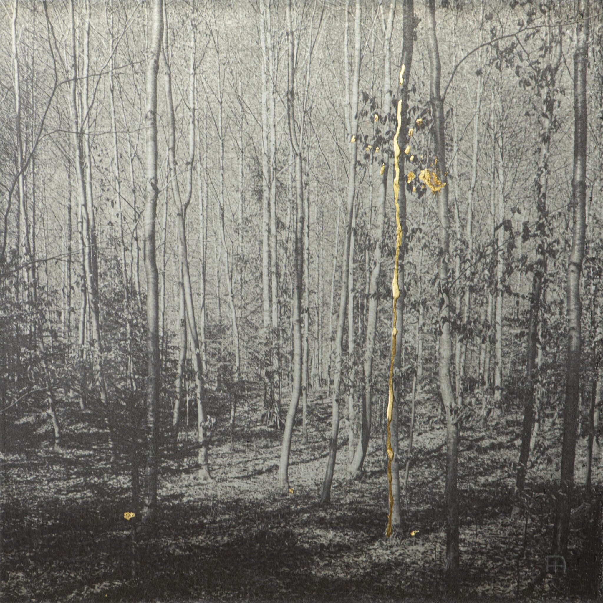 The Walk - Nicola Hackl-Haslinger Nicola Hackl-Haslinger, Nicola Hackl-Haslinger