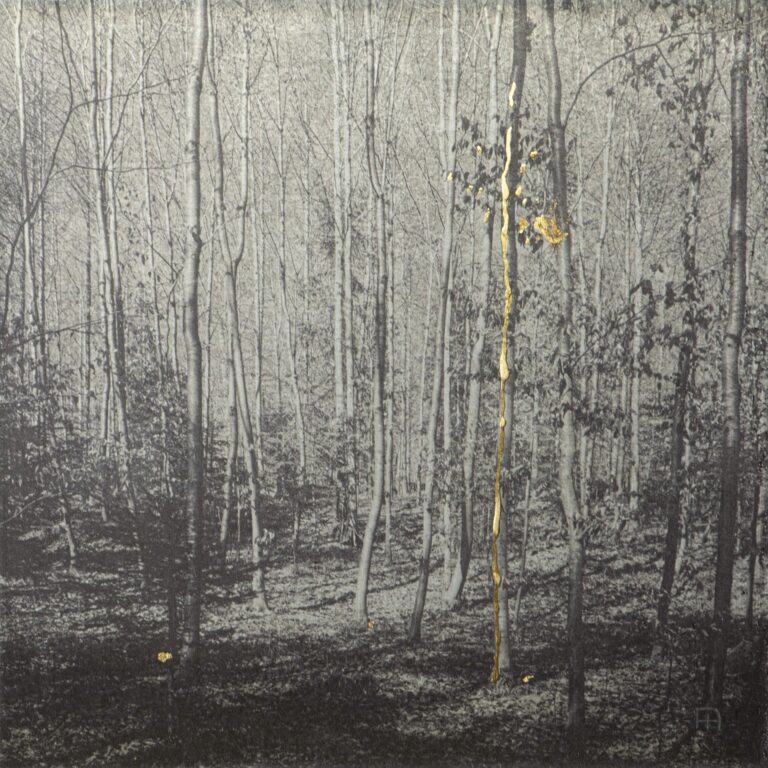 The Walk - Nicola Hackl-Haslinger Nicola Hackl-Haslinger, Nicola Hackl-Haslinger