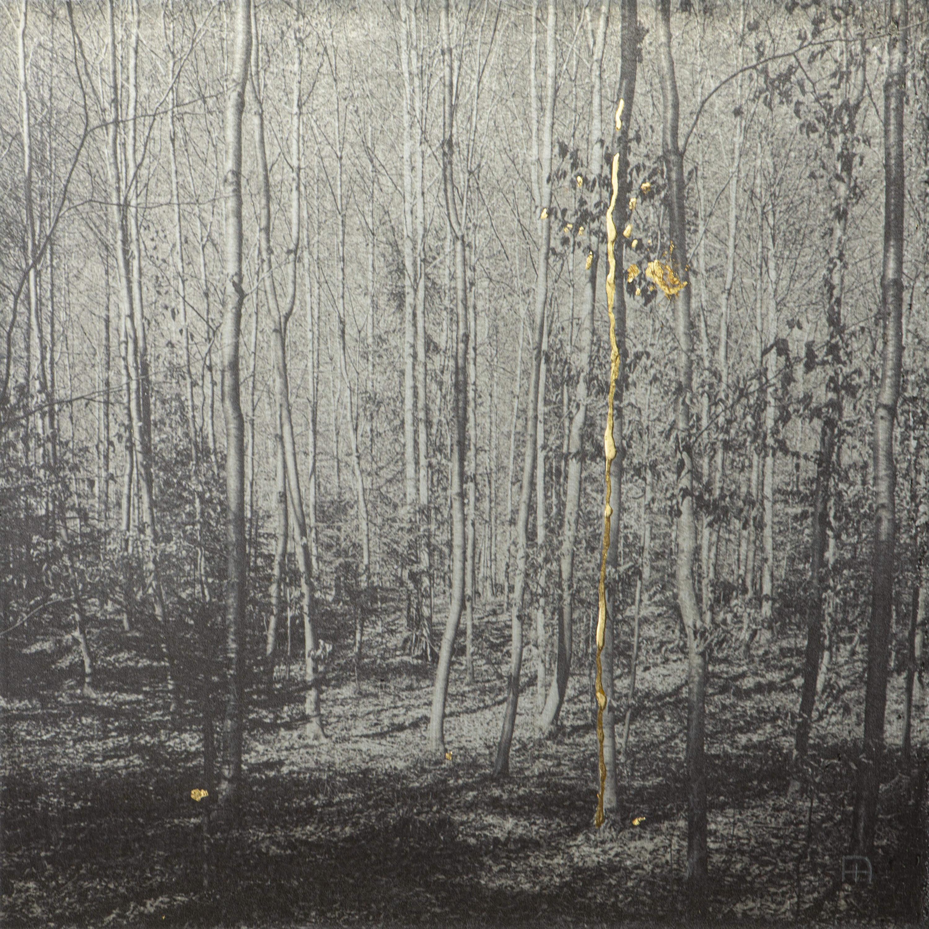 The Walk - Nicola Hackl-Haslinger Nicola Hackl-Haslinger, Nicola Hackl-Haslinger