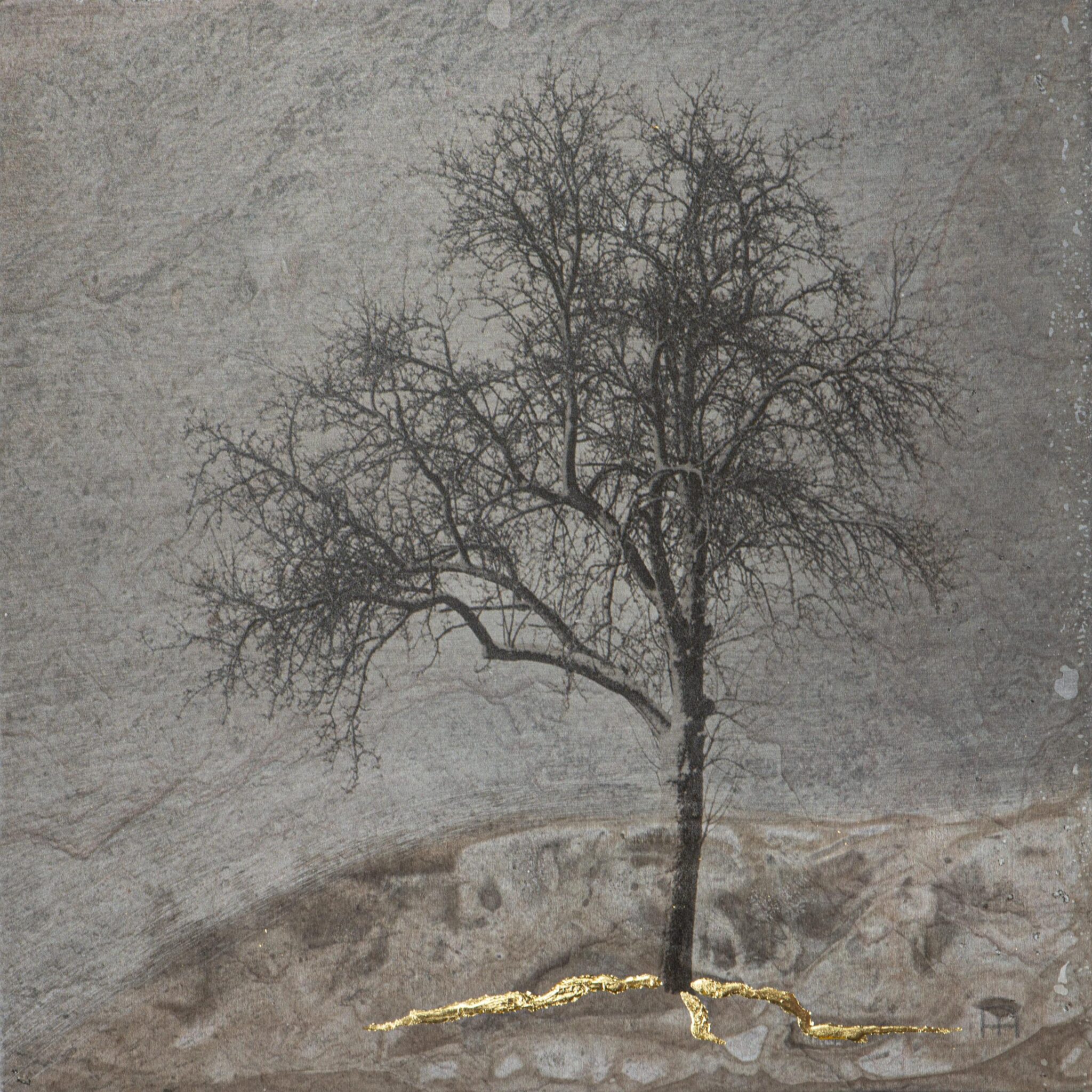 Any Time Soon - Nicola Hackl-Haslinger Nicola Hackl-Haslinger, Nicola Hackl-Haslinger