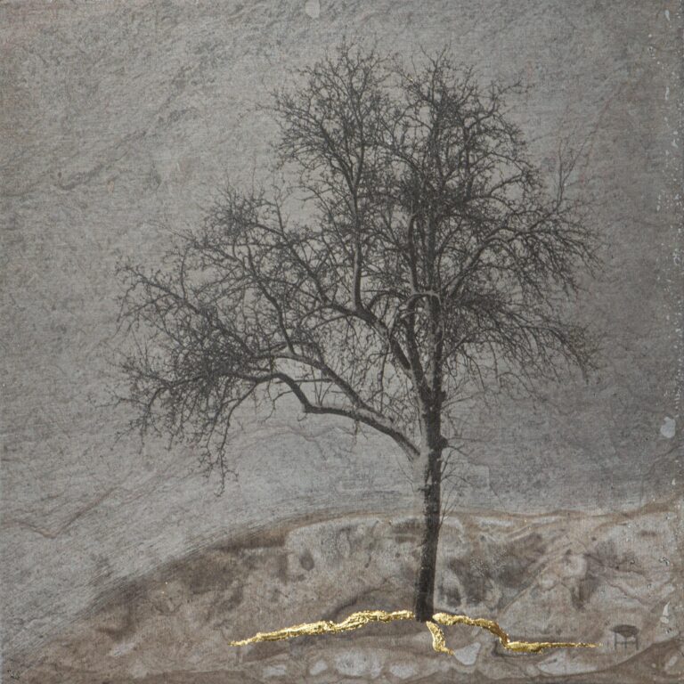 Any Time Soon - Nicola Hackl-Haslinger Nicola Hackl-Haslinger, Nicola Hackl-Haslinger