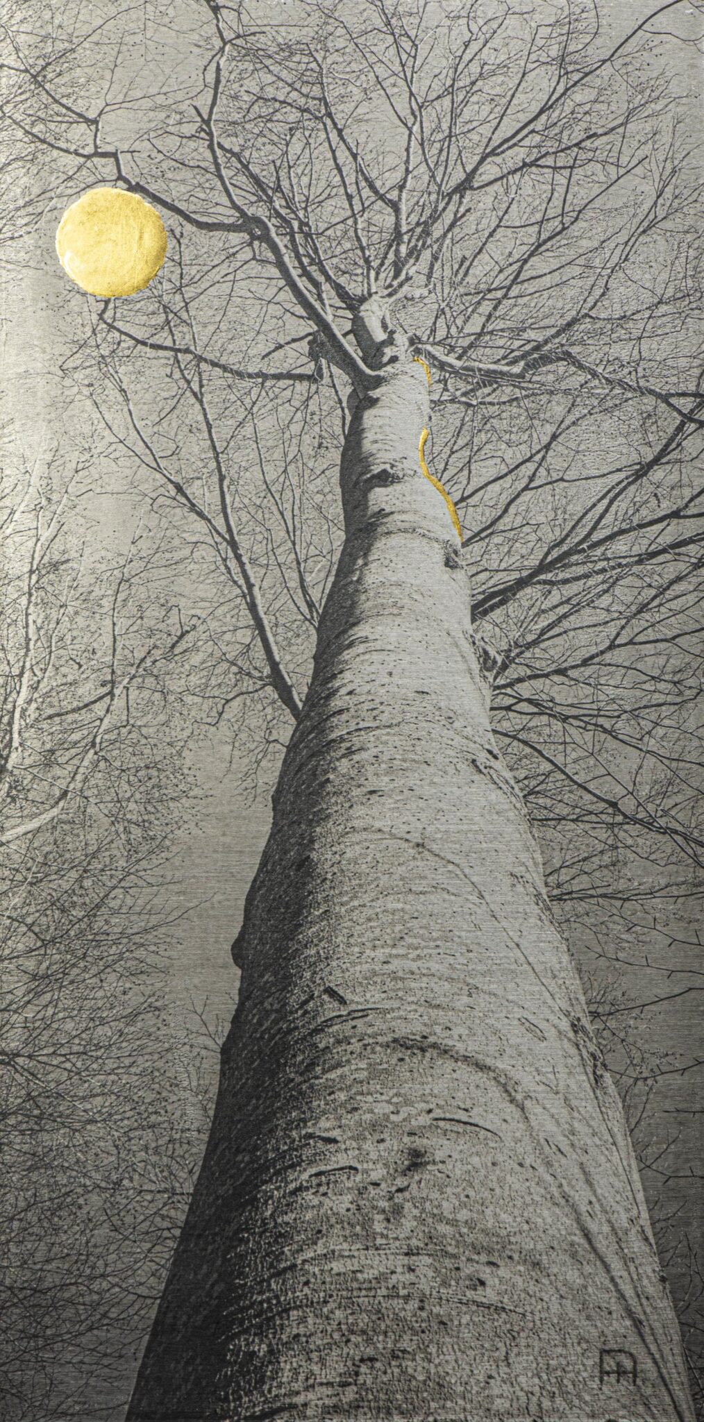 The Dancer - Nicola Hackl-Haslinger Nicola Hackl-Haslinger, Nicola Hackl-Haslinger