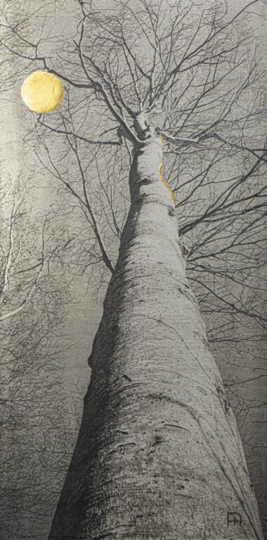 The Dancer - Nicola Hackl-Haslinger Nicola Hackl-Haslinger, Nicola Hackl-Haslinger