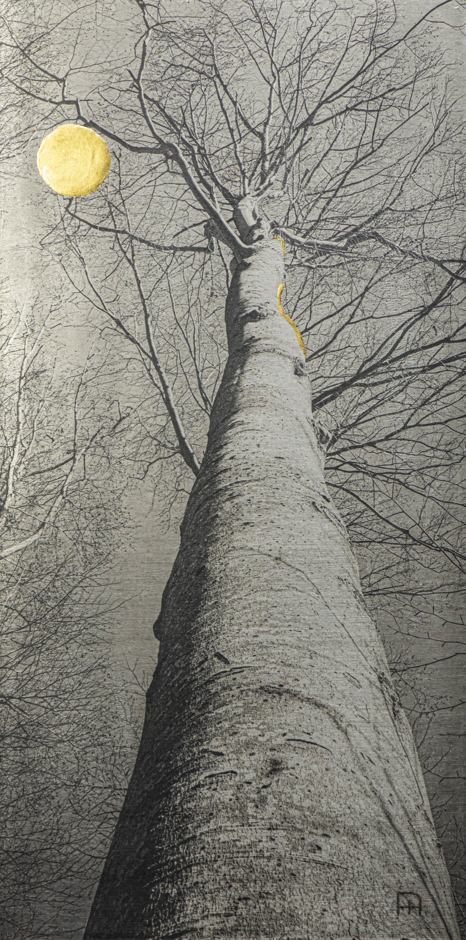 The Dancer - Nicola Hackl-Haslinger Nicola Hackl-Haslinger, Nicola Hackl-Haslinger