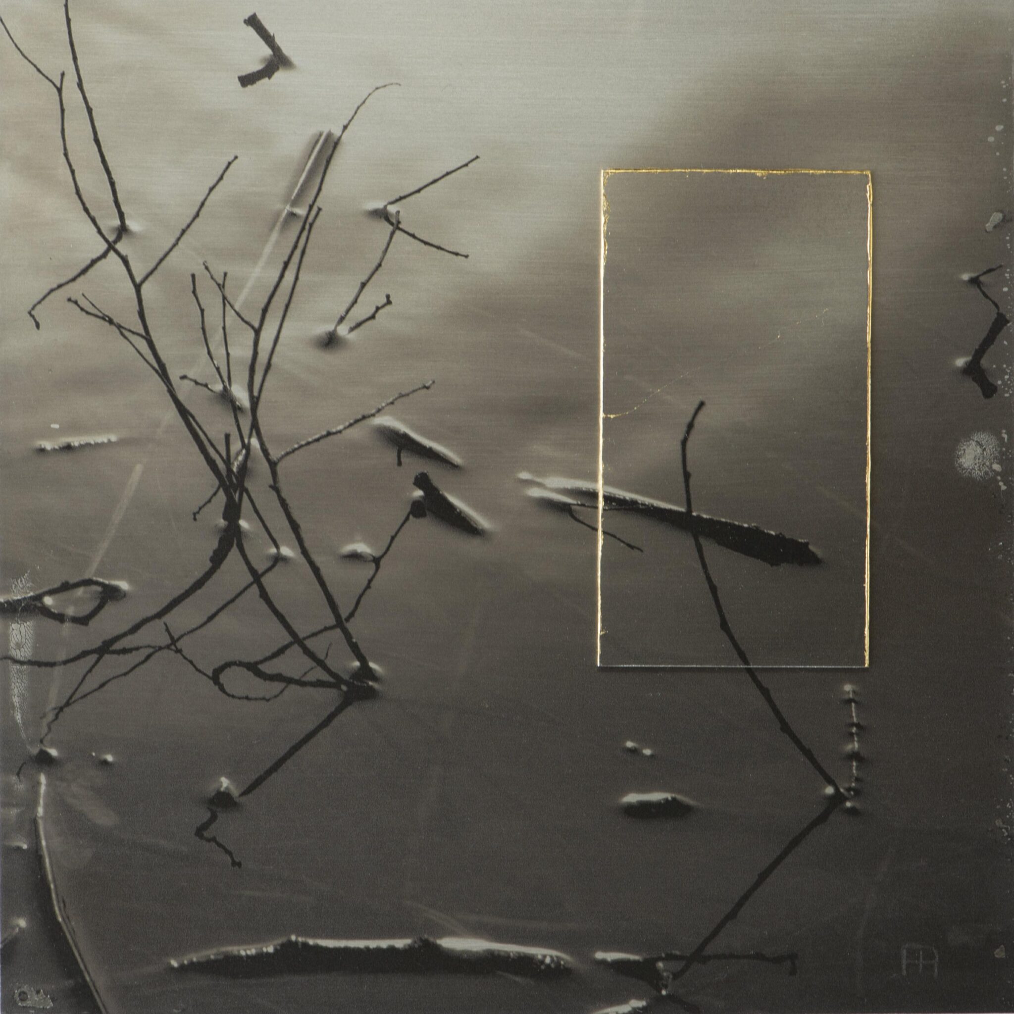 The Invitation VX - Nicola Hackl-Haslinger Nicola Hackl-Haslinger, Nicola Hackl-Haslinger