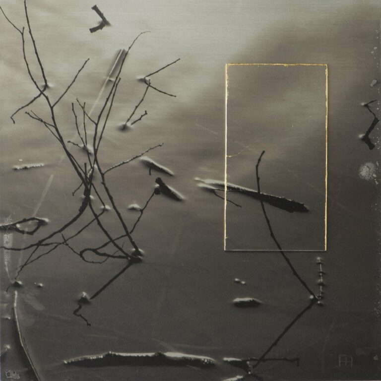 The Invitation VX - Nicola Hackl-Haslinger Nicola Hackl-Haslinger, Nicola Hackl-Haslinger