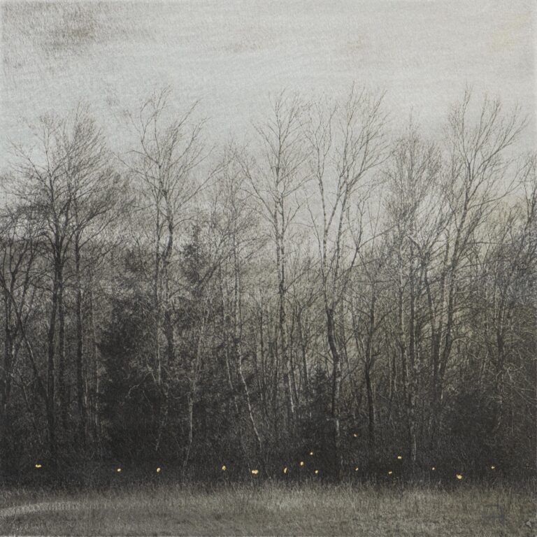 The View - Nicola Hackl-Haslinger Nicola Hackl-Haslinger, Nicola Hackl-Haslinger