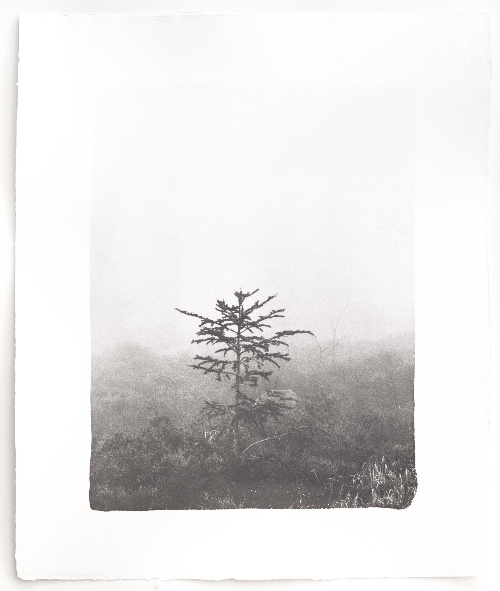 Kigen - Hannah Schemel Hannah Schemel, Hannah Schemel