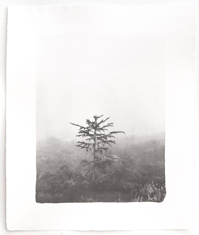 Kigen - Hannah Schemel Hannah Schemel, Hannah Schemel