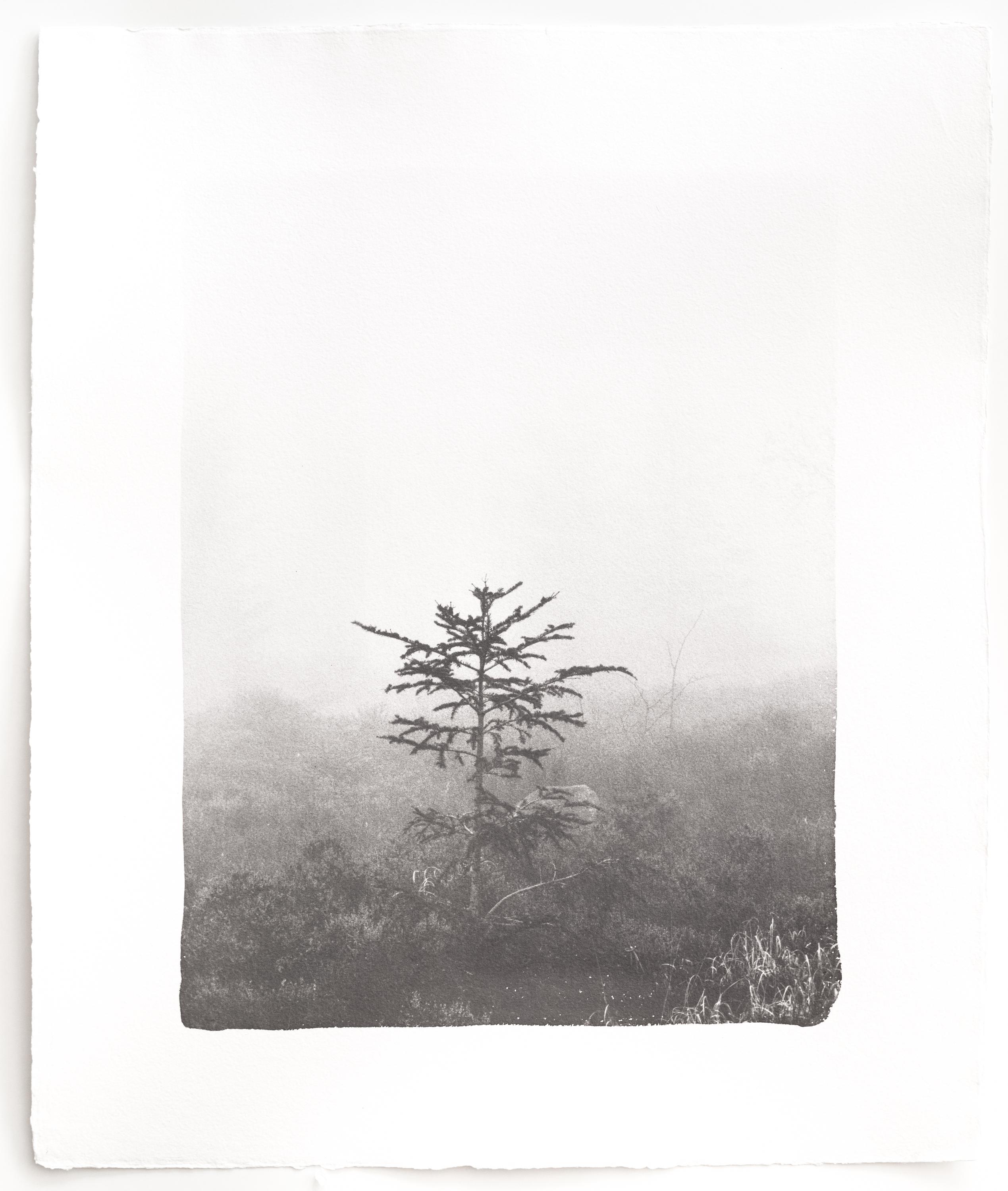 Kigen 2022#167 - Hannah Schemel Hannah Schemel, Hannah Schemel