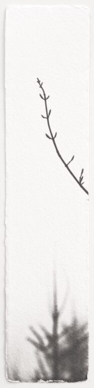 Kigen - Hannah Schemel Hannah Schemel, Hannah Schemel