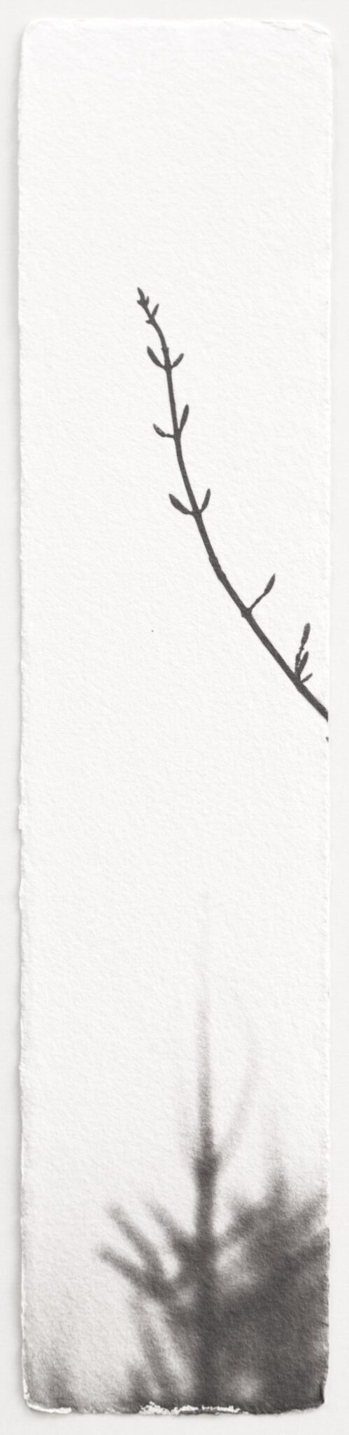 Kigen - Hannah Schemel Hannah Schemel, Hannah Schemel