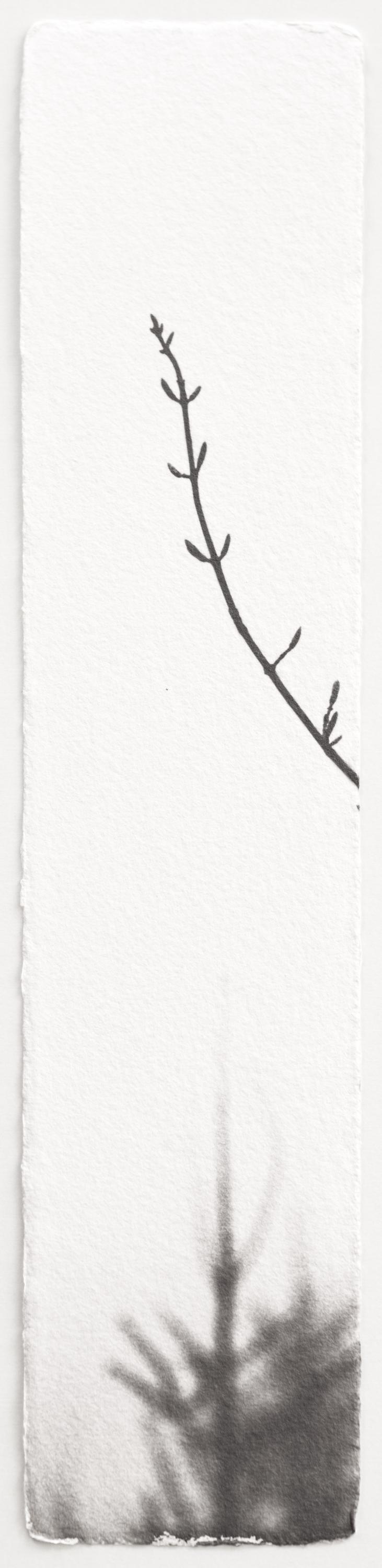 Kigen 2022#186 - Hannah Schemel Hannah Schemel, Hannah Schemel