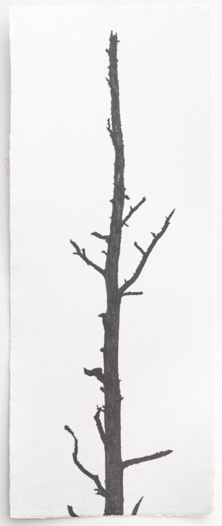 Kigen - Hannah Schemel Hannah Schemel, Hannah Schemel