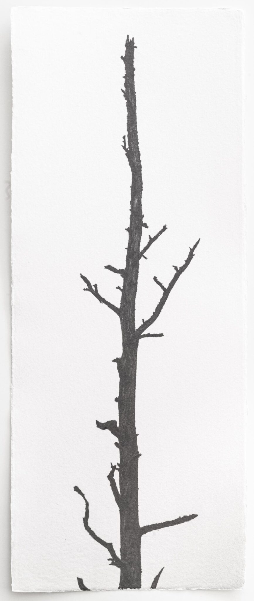 Kigen - Hannah Schemel Hannah Schemel, Hannah Schemel