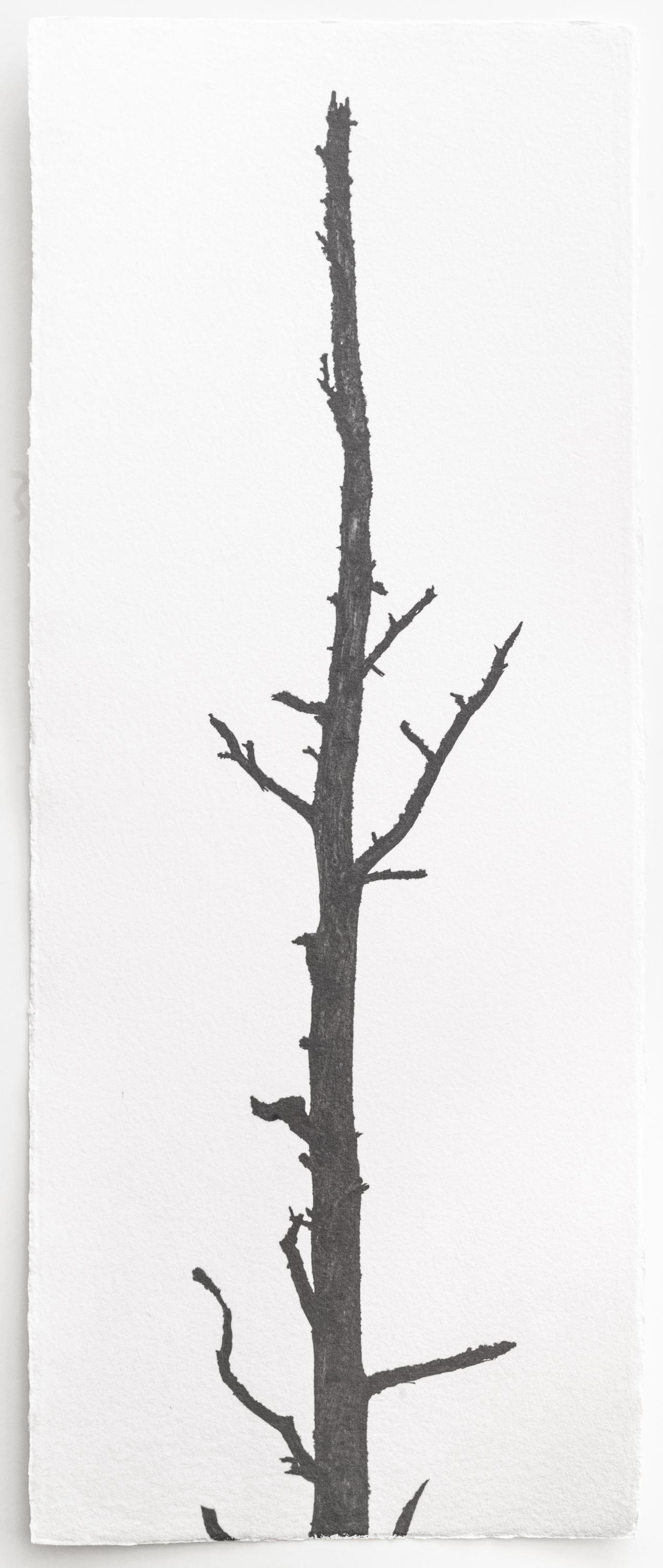 Kigen 2022#179 - Hannah Schemel Hannah Schemel, Hannah Schemel