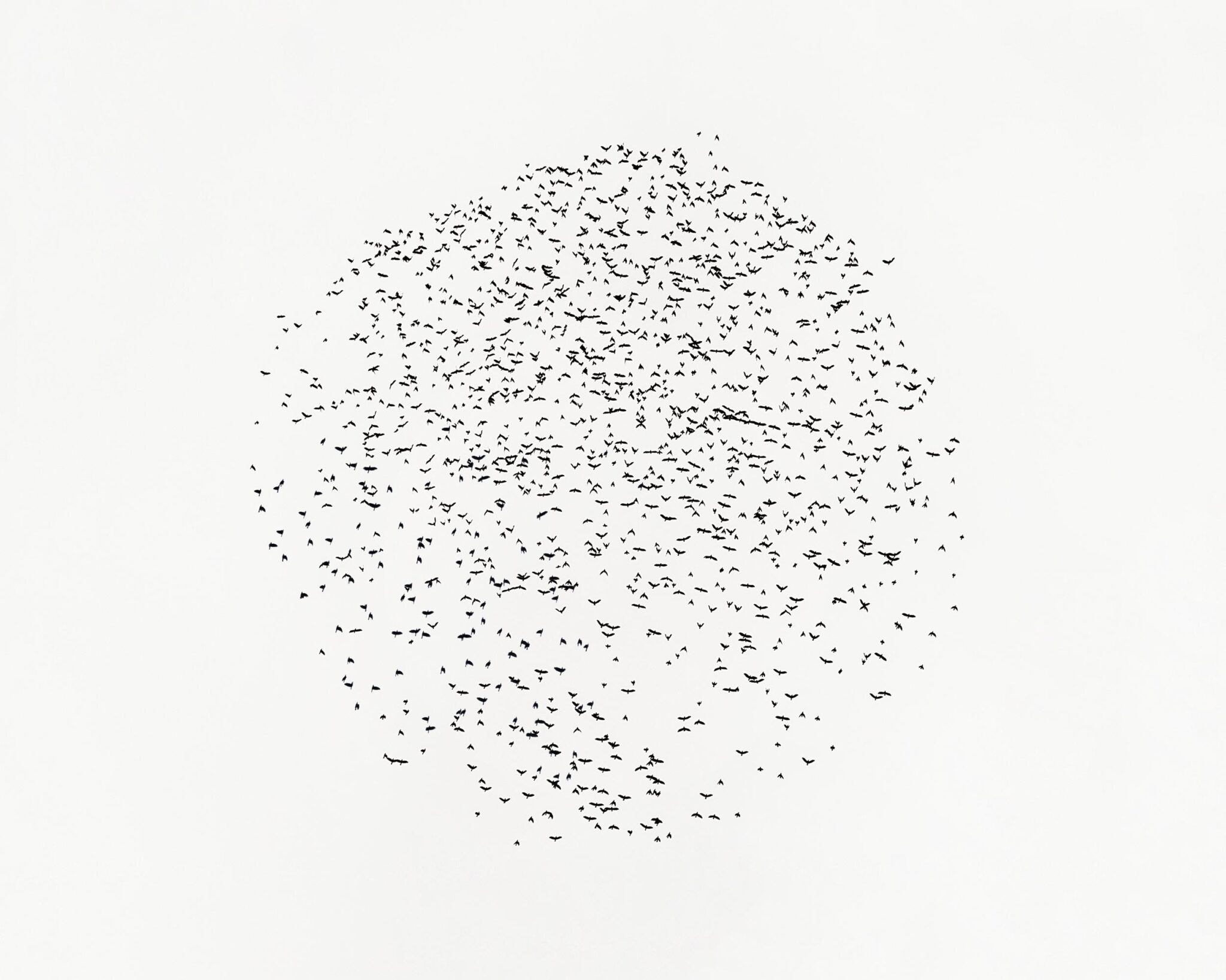 Circle - Uwe Langmann Uwe Langmann, Uwe Langmann