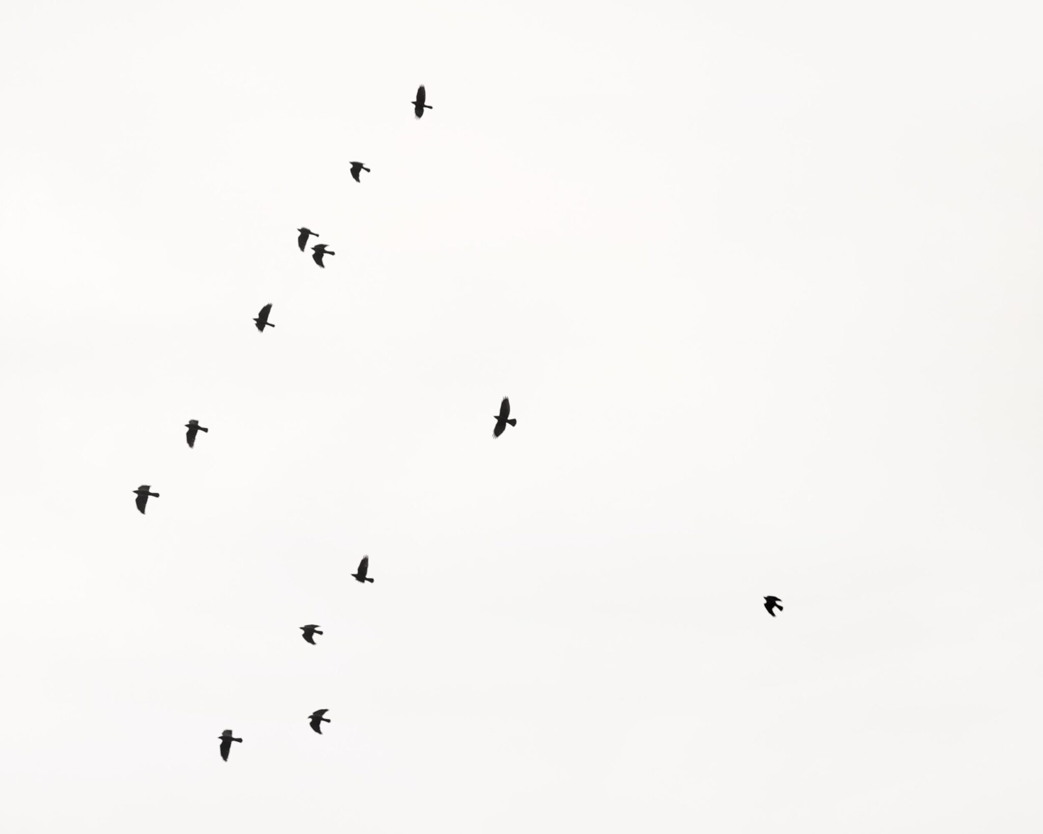 Thirteen - Uwe Langmann Uwe Langmann, Uwe Langmann