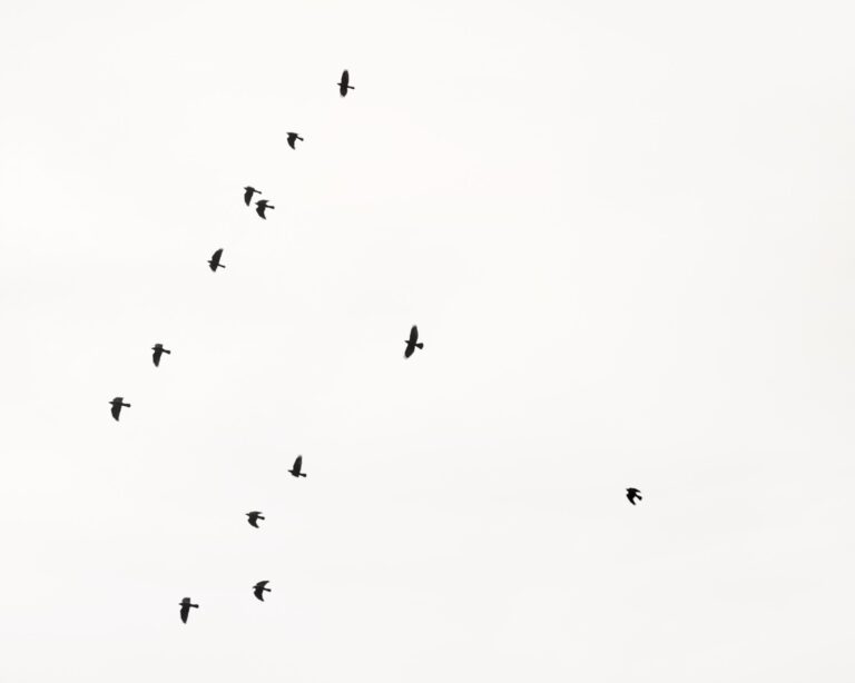 Thirteen - Uwe Langmann Uwe Langmann, Uwe Langmann