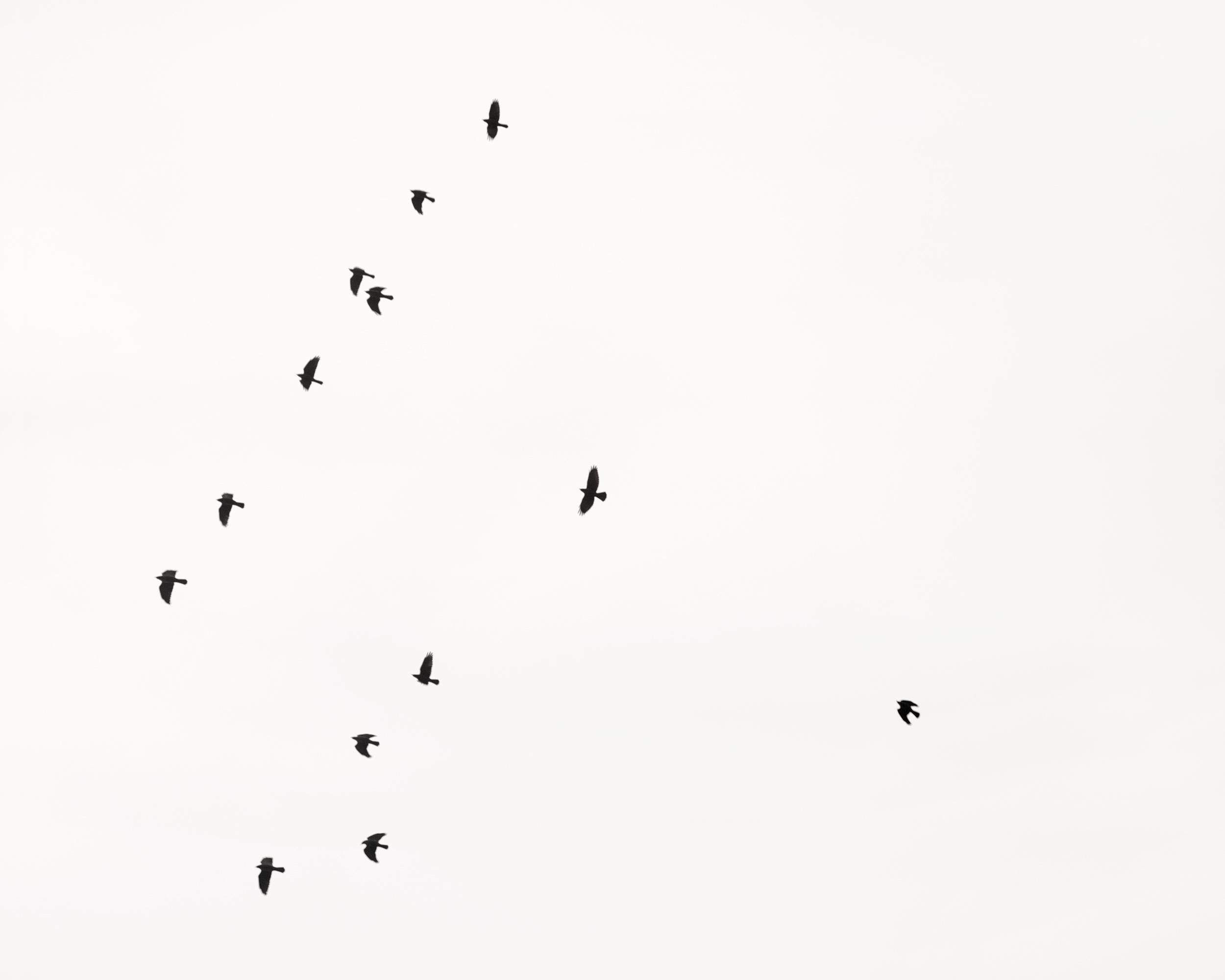 Thirteen - Uwe Langmann Uwe Langmann, Uwe Langmann