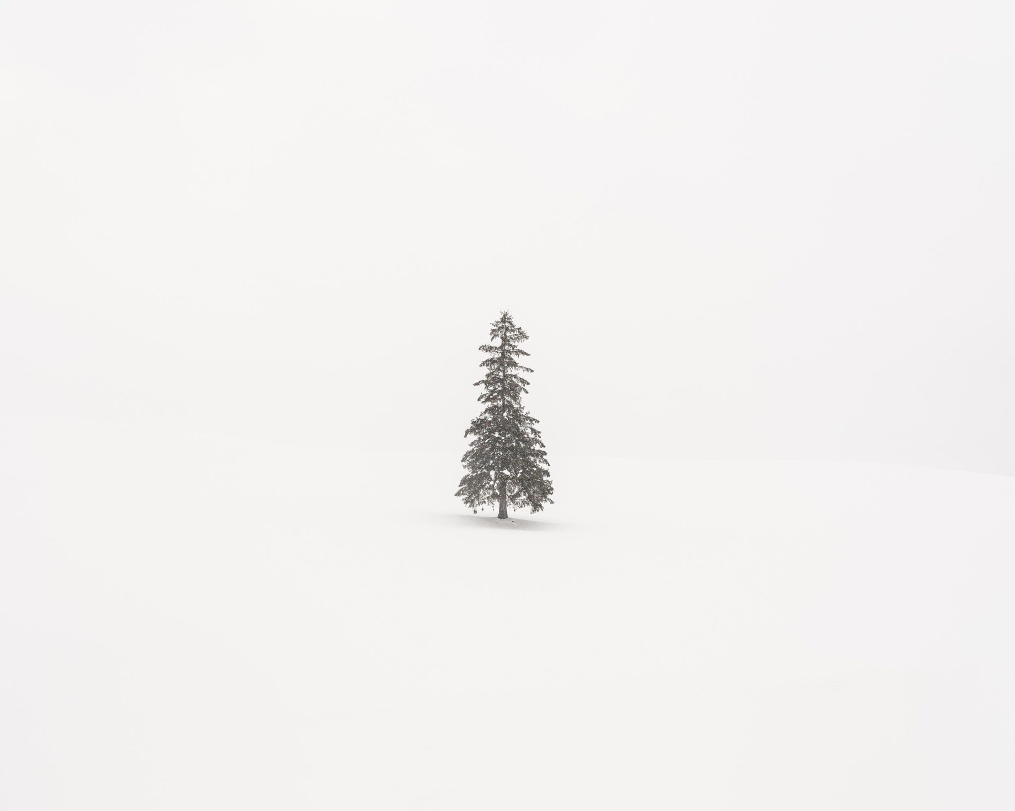 Christmas Tree - Uwe Langmann Uwe Langmann, Uwe Langmann