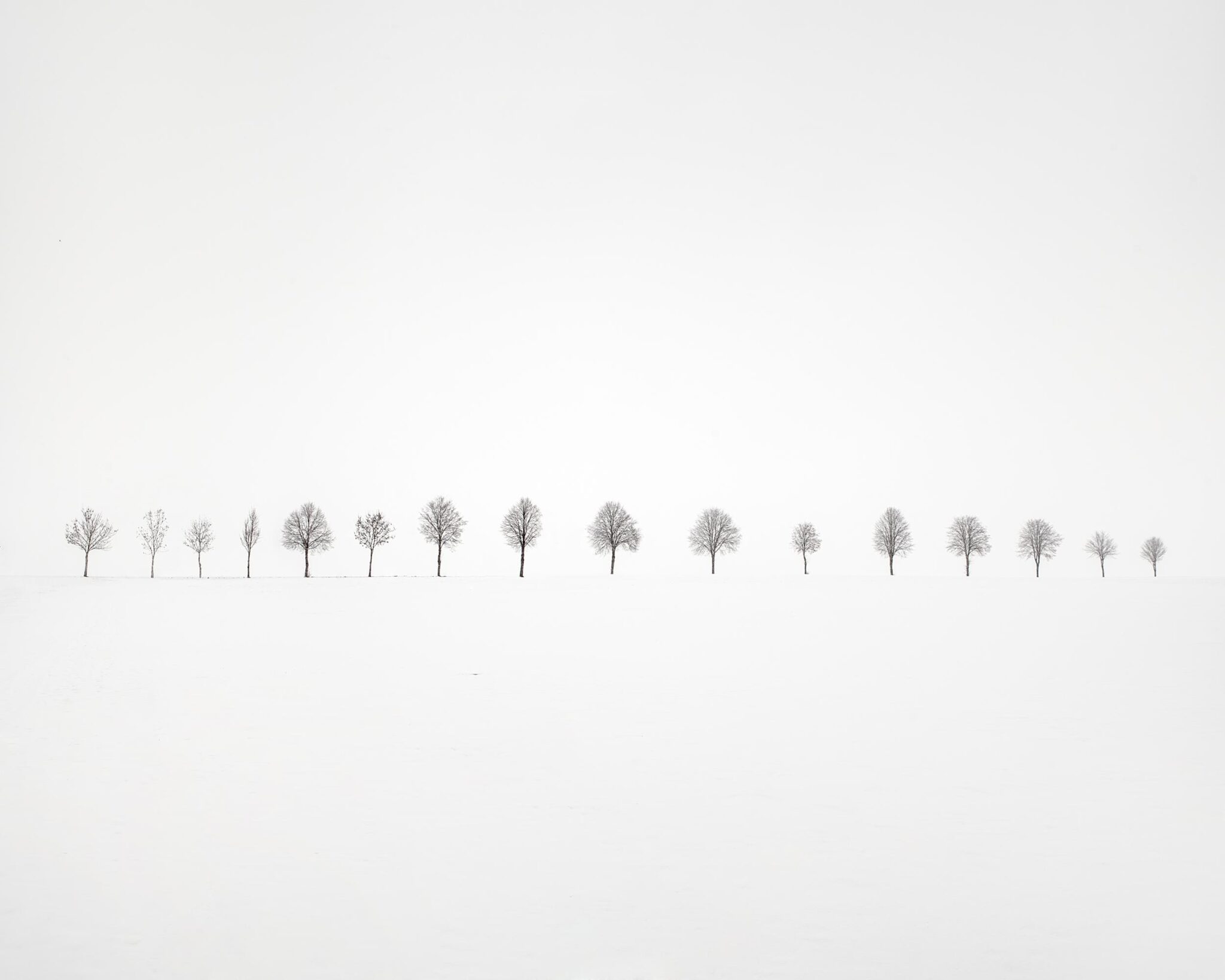 Sixteen - Uwe Langmann Uwe Langmann, Uwe Langmann