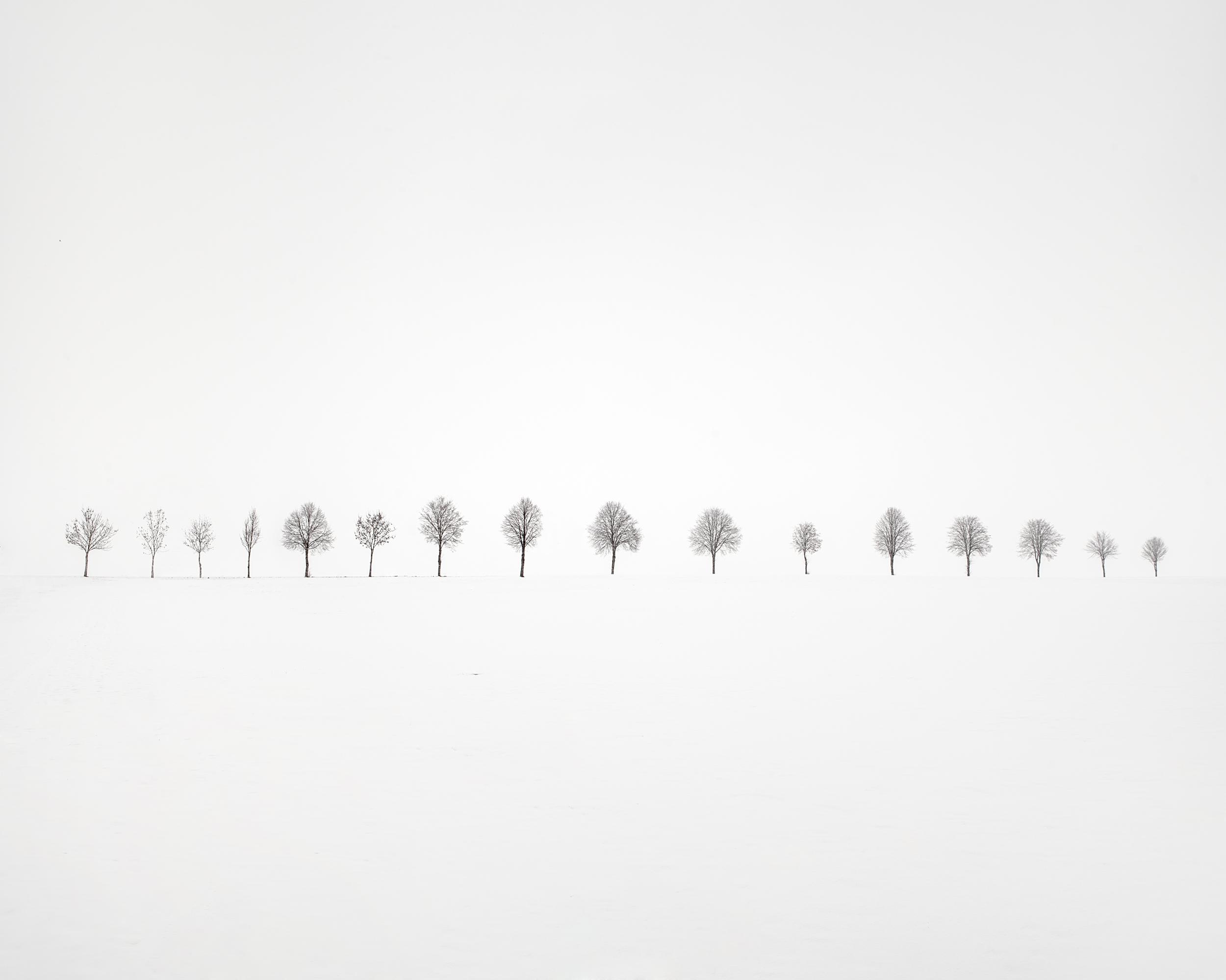 Sixteen - Uwe Langmann Uwe Langmann, Uwe Langmann