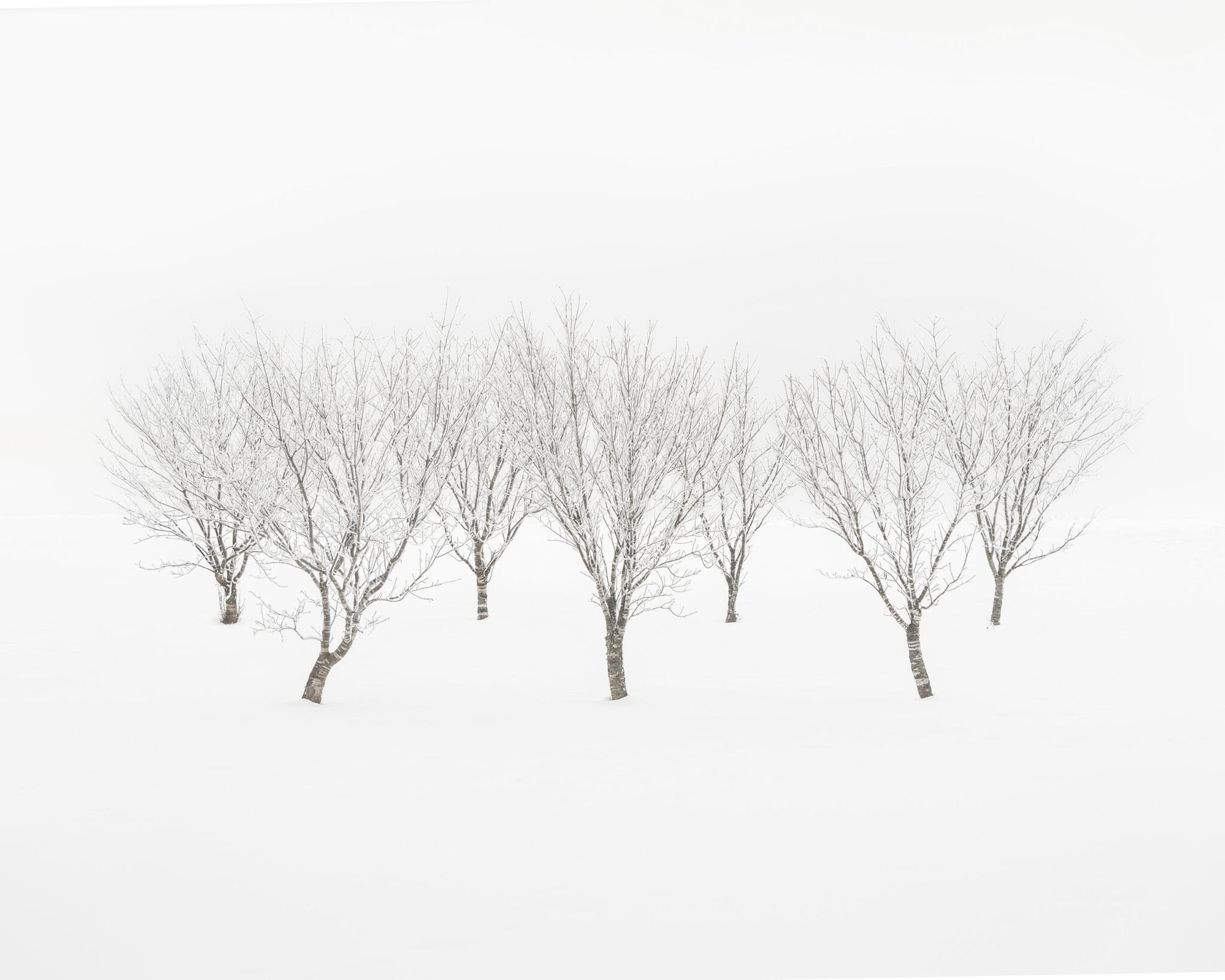 Seven - Uwe Langmann Uwe Langmann, Uwe Langmann