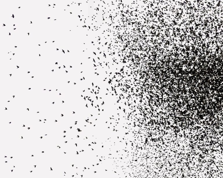 Murmuration III - Uwe Langmann Uwe Langmann, Uwe Langmann