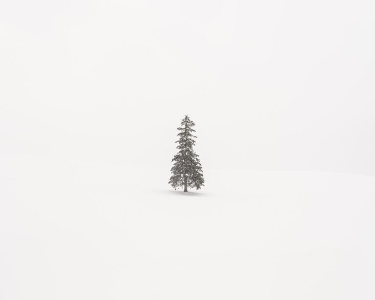 Christmas Tree - Uwe Langmann Uwe Langmann, Uwe Langmann