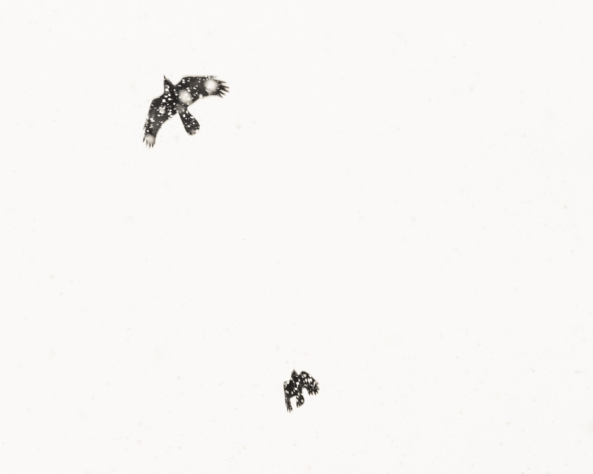 Poem - Uwe Langmann Uwe Langmann, Uwe Langmann