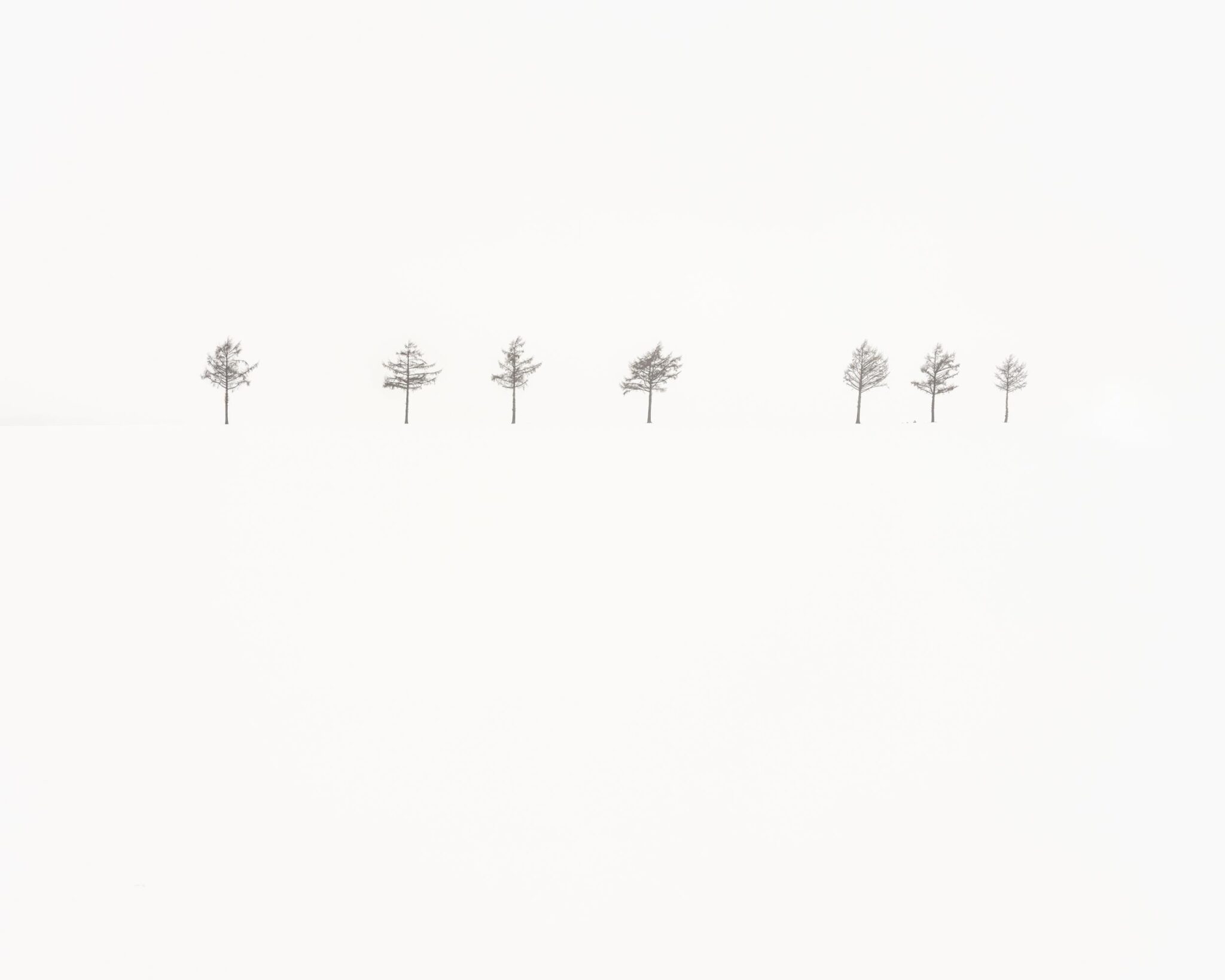 Homage to A.K. - Uwe Langmann Uwe Langmann, Uwe Langmann