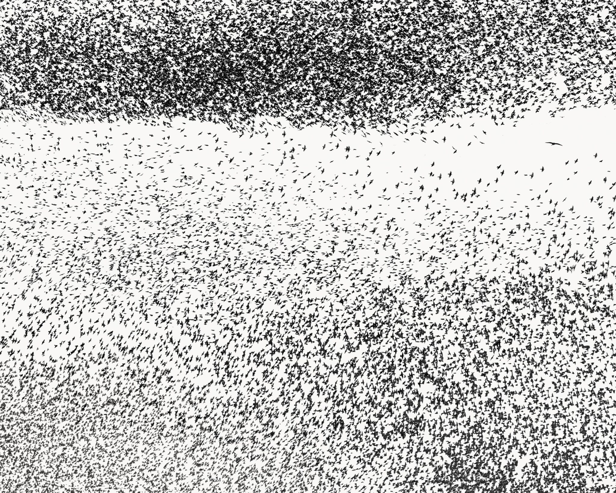 Murmuration II - Uwe Langmann Uwe Langmann, Uwe Langmann