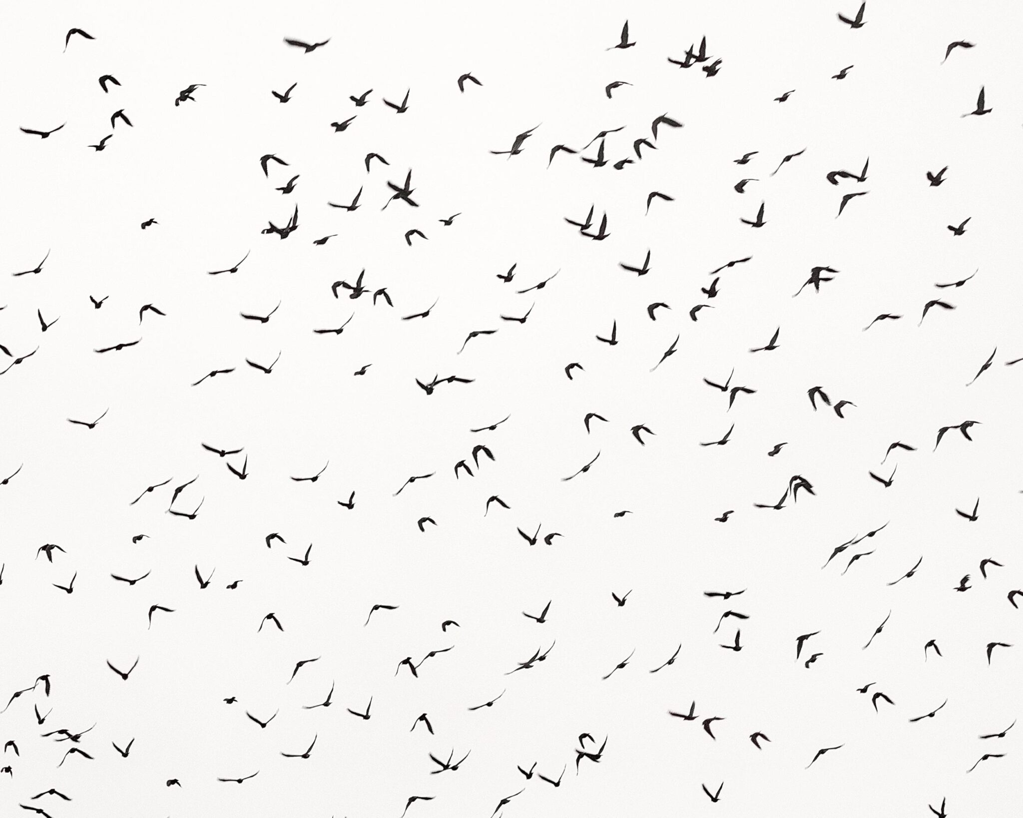 Verve - Uwe Langmann Uwe Langmann, Uwe Langmann