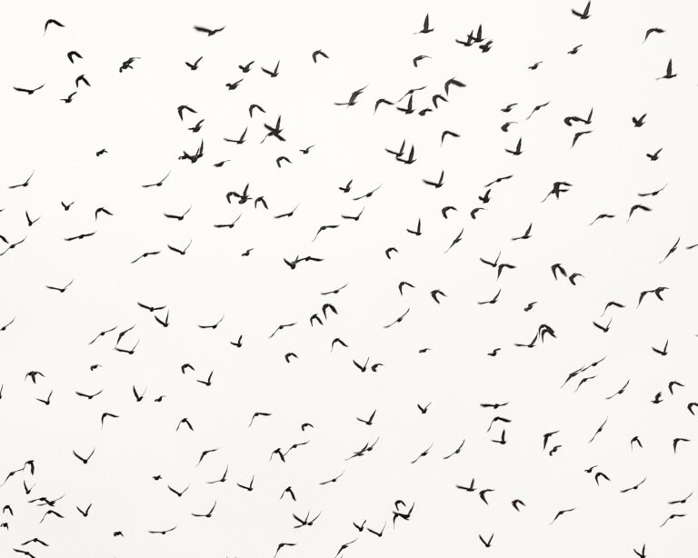 Verve - Uwe Langmann Uwe Langmann, Uwe Langmann