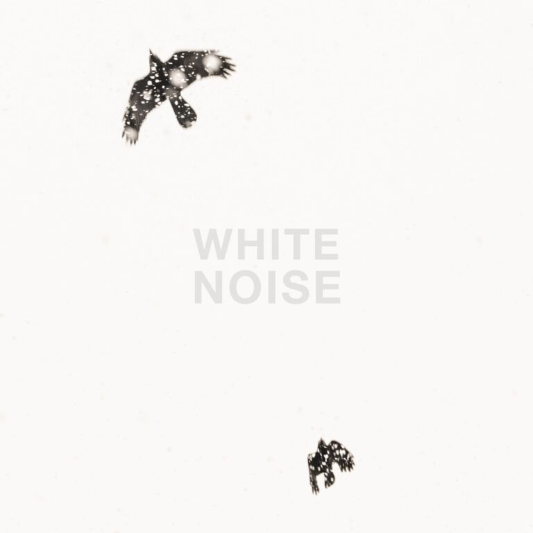 White Noise - Hannah Schemel, Nicola Hackl-Haslinger, Roberto Ghezzi, Uwe Langmann 