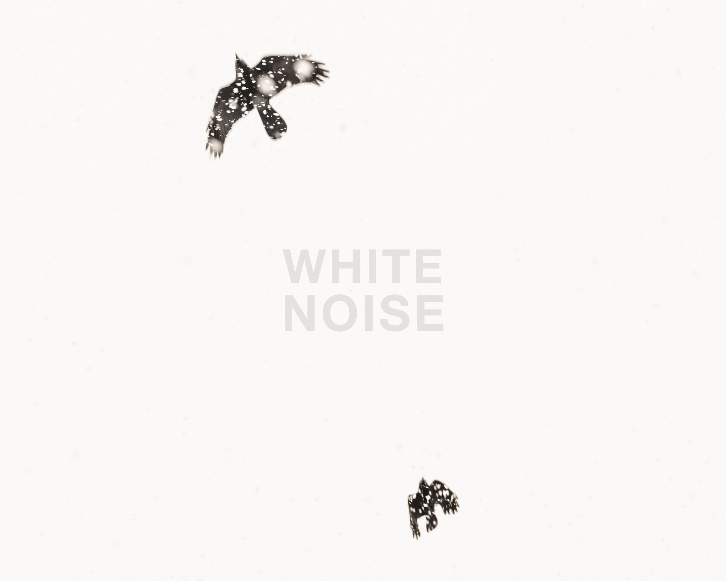 White Noise - Hannah Schemel, Nicola Hackl-Haslinger, Roberto Ghezzi, Uwe Langmann 