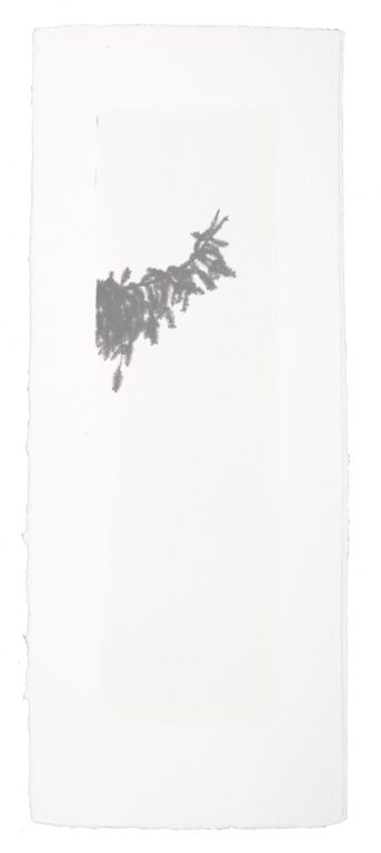 Kigen 2020#81 - Hannah Schemel Hannah Schemel, Hannah Schemel