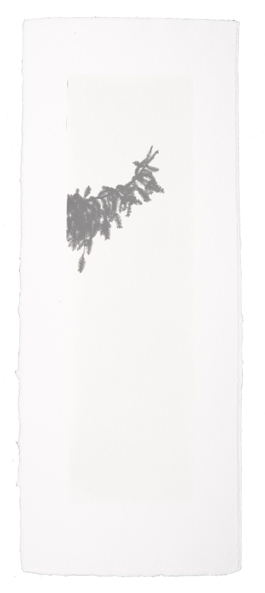 Kigen 2020#81 - Hannah Schemel Hannah Schemel, Hannah Schemel