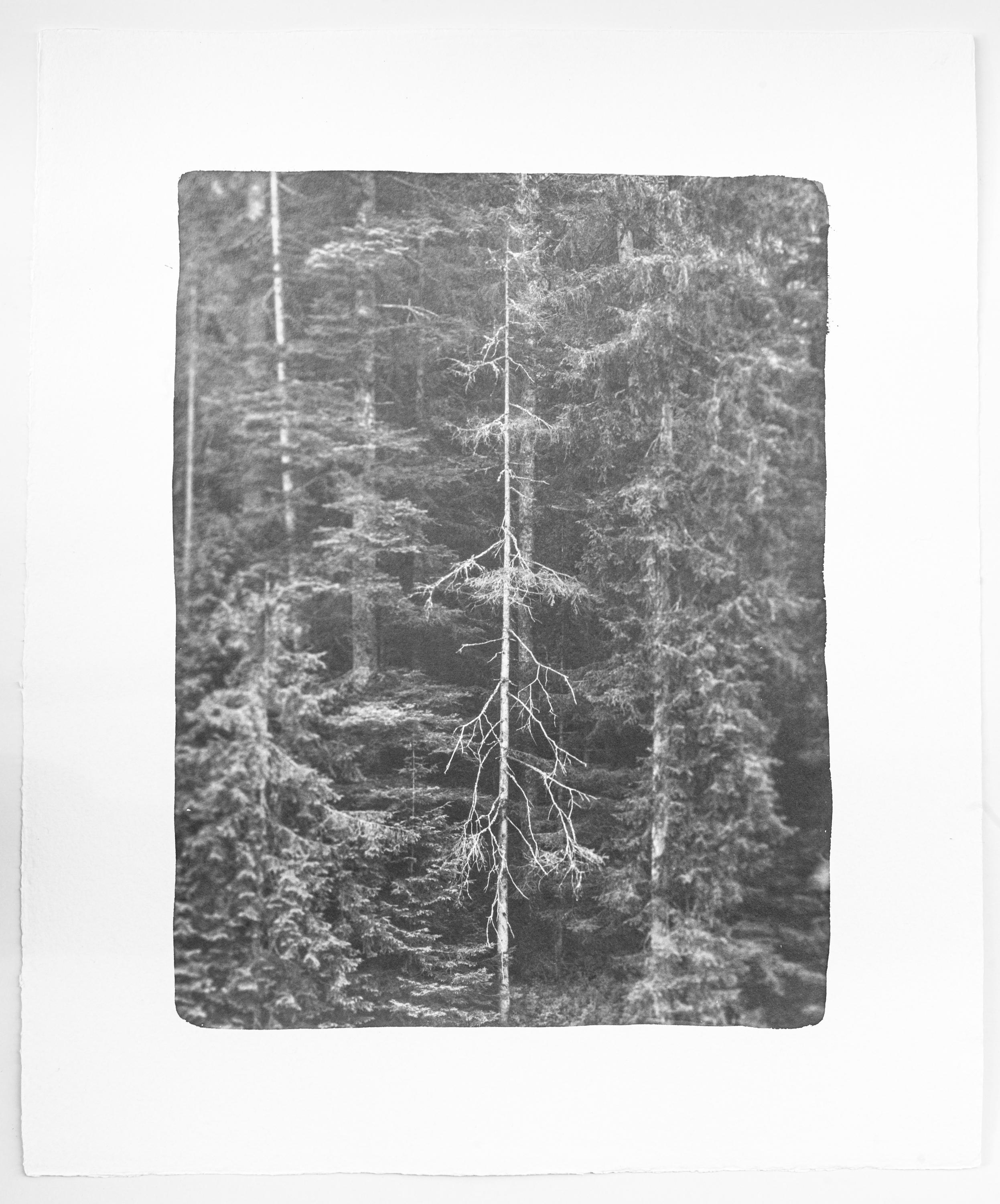 Kigen 2021#127 - Hannah Schemel Hannah Schemel, Hannah Schemel