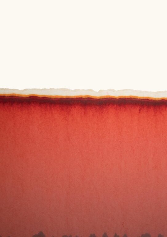 Selbstläufer 2019_015 - Tomislav Topić 