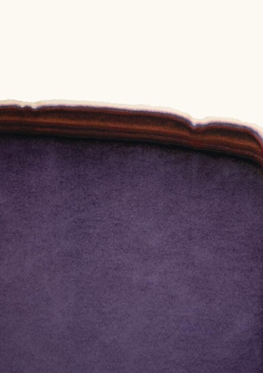 Selbstläufer 2019_011 - Tomislav Topić 