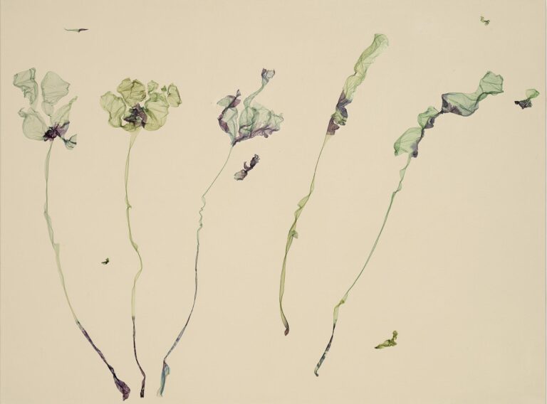 Flowers are the music of the ground (after Edwin Curran) - Beatrice Pediconi Beatrice Pediconi, Dario Lasagni