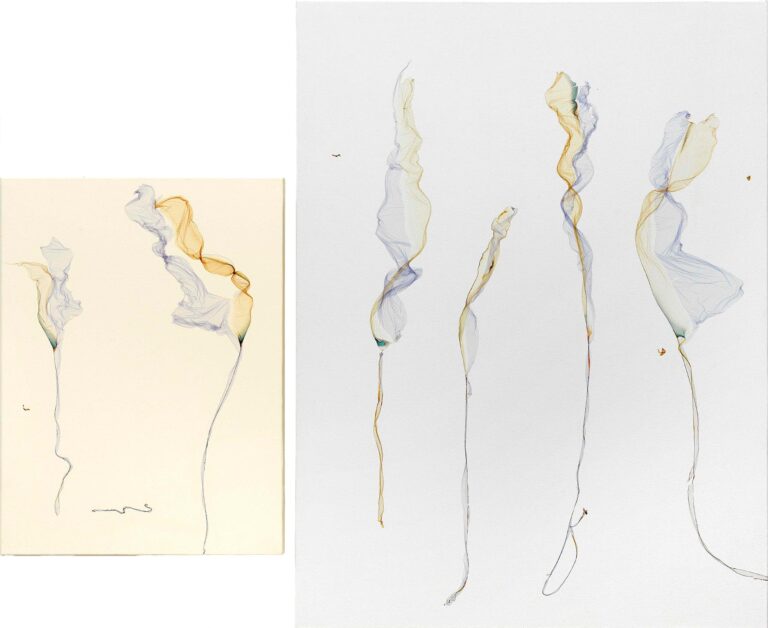 And the wind rocked the pale water lilies; the tall water lilies, among the reeds, shimmered sadly on the calm water (after Paul Verlaine) - Beatrice Pediconi Beatrice Pediconi, Dario Lasagni