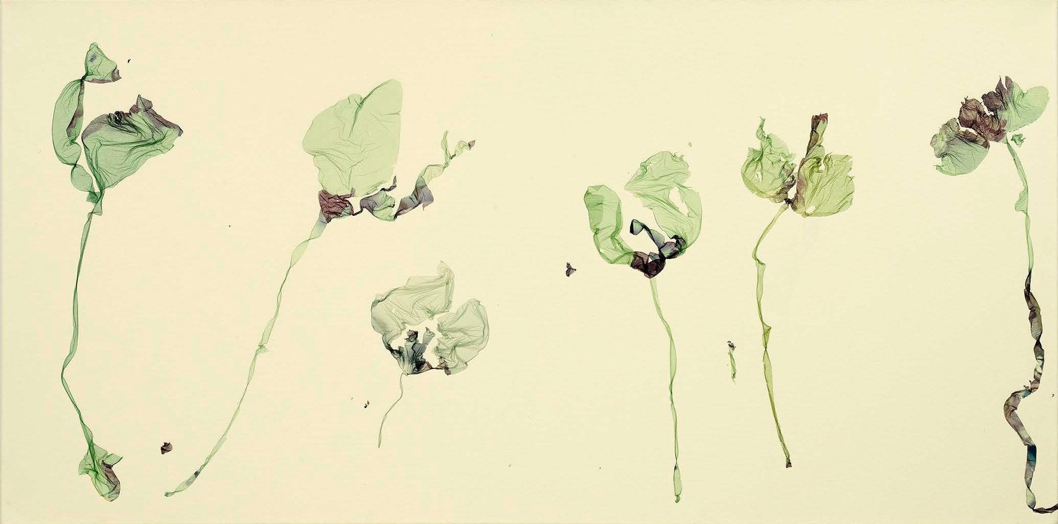 The dawn was apple-green, the sky was green wine held up  in the sun, the moon was a golden petal between (after David Herbert Lawrence) - Beatrice Pediconi Beatrice Pediconi, Dario Lasagni