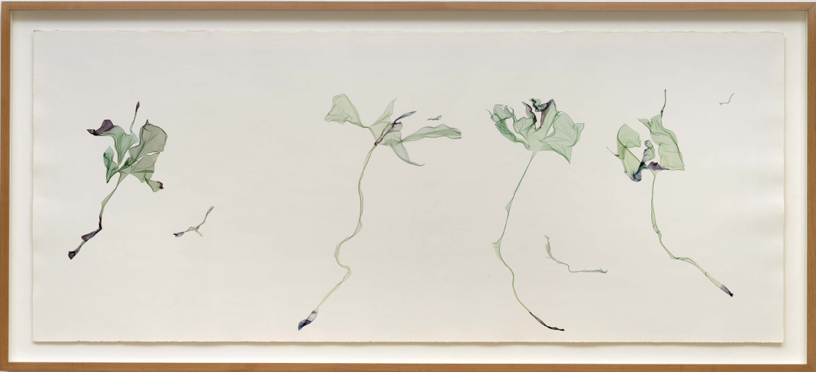 Nature at dawn (after Max Ernst) - Beatrice Pediconi Beatrice Pediconi, Dario Lasagni