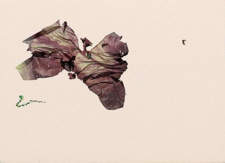 the power of the butterfly must be the aptitude to fly (after Emily Dickinson) - Beatrice Pediconi Beatrice Pediconi, Dario Lasagni