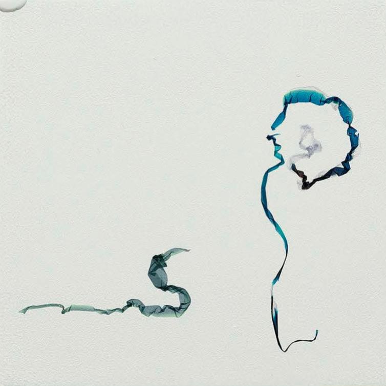 The trees grow into the sky because they can bear it (after Rainer Maria Rilke) - Beatrice Pediconi Beatrice Pediconi, Dario Lasagni