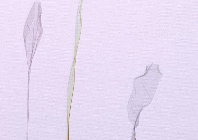 New York Flowers - Beatrice Pediconi Beatrice Pediconi, Dario Lasagni